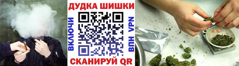 закладка  Жердевка  Бошки марихуана план 
